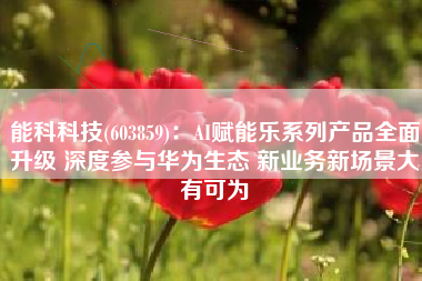 能科科技(603859)：AI赋能乐系列产品全面升级 深度参与华为生态 新业务新场景大有可为