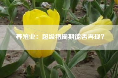 养殖业：超级猪周期能否再现？