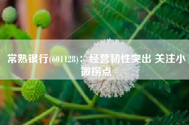 常熟银行(601128)：经营韧性突出 关注小微拐点