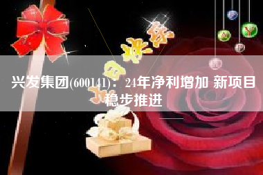 兴发集团(600141)：24年净利增加 新项目稳步推进