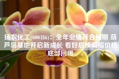 扬农化工(600486)：全年业绩符合预期 葫芦岛基地开启新成长 看好后续菊酯价格底部回暖