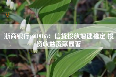 浙商银行(601916)：信贷投放增速稳定 投资收益贡献显著