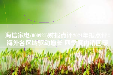 海信家电(000921)财报点评2024年报点评：海外各区域驱动增长 四季度内销回暖