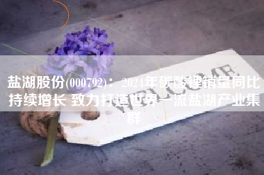 盐湖股份(000792)：2024年碳酸锂销量同比持续增长 致力打造世界一流盐湖产业集群