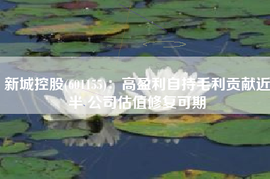 新城控股(601155)：高盈利自持毛利贡献近半 公司估值修复可期