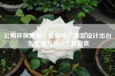 公用环保周报：虚拟电厂顶层设计出台 东北亚气价11个月新低