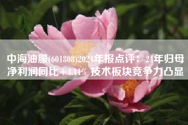 中海油服(601808)2024年报点评：24年归母净利润同比+4.11% 技术板块竞争力凸显