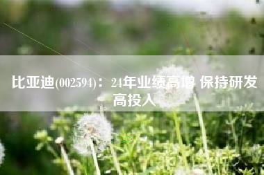 比亚迪(002594)：24年业绩高增 保持研发高投入