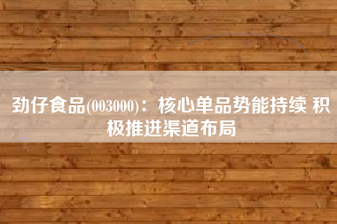劲仔食品(003000)：核心单品势能持续 积极推进渠道布局