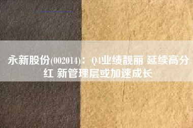 永新股份(002014)：Q4业绩靓丽 延续高分红 新管理层或加速成长