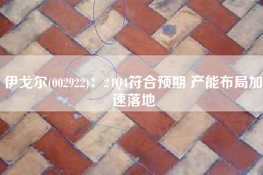 伊戈尔(002922)：24Q4符合预期 产能布局加速落地