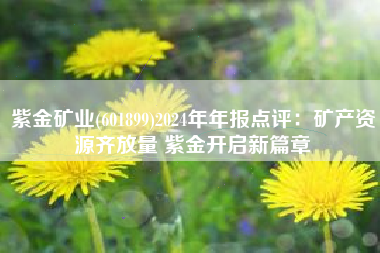 紫金矿业(601899)2024年年报点评：矿产资源齐放量 紫金开启新篇章