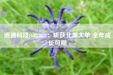 道通科技(688208)：斩获北美大单 全年成长可期