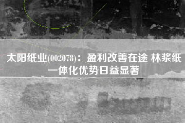 太阳纸业(002078)：盈利改善在途 林浆纸一体化优势日益显著