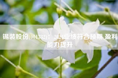 锡装股份(001332)：2024业绩符合预期 盈利能力提升