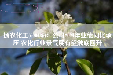 扬农化工(600486)：公司2024年业绩同比承压 农化行业景气度有望触底回升