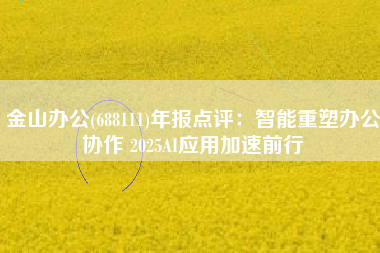 金山办公(688111)年报点评：智能重塑办公协作 2025AI应用加速前行
