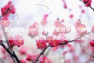 五洲特纸(605007)：稳步推进浆纸一体化