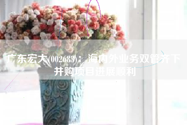 广东宏大(002683)：海内外业务双管齐下 并购项目进展顺利