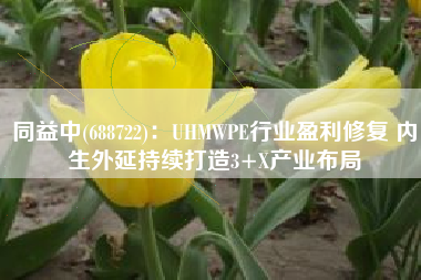 同益中(688722)：UHMWPE行业盈利修复 内生外延持续打造3+X产业布局