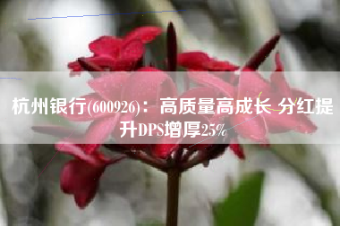 杭州银行(600926)：高质量高成长 分红提升DPS增厚25%