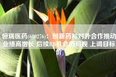 恒瑞医药(600276)：创新药和对外合作推动业绩高增长 后续BD机会仍可观 上调目标价