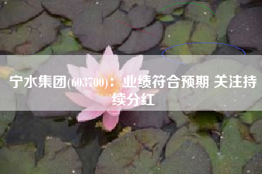 宁水集团(603700)：业绩符合预期 关注持续分红