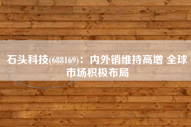 石头科技(688169)：内外销维持高增 全球市场积极布局