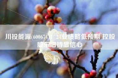 川投能源(600674)：24业绩略低预期 控股股东增持显信心