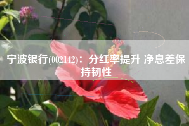 宁波银行(002142)：分红率提升 净息差保持韧性