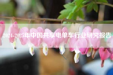 2024-2025年中国共享电单车行业研究报告