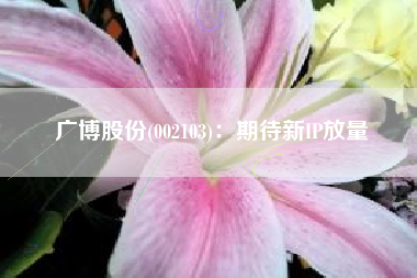 广博股份(002103)：期待新IP放量