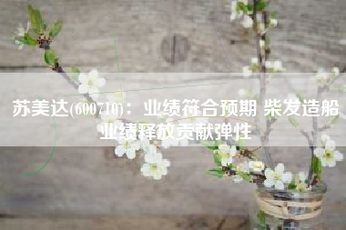 苏美达(600710)：业绩符合预期 柴发造船业绩释放贡献弹性