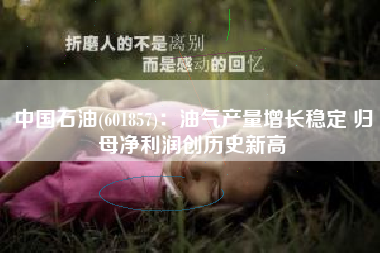 中国石油(601857)：油气产量增长稳定 归母净利润创历史新高