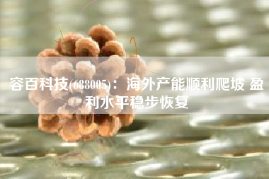 容百科技(688005)：海外产能顺利爬坡 盈利水平稳步恢复