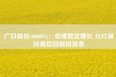 广日股份(600894)：业绩稳定增长 分红保持高位回报投资者