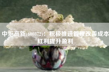 中炬高新(600872)：积极推进管理改善成本红利提升盈利