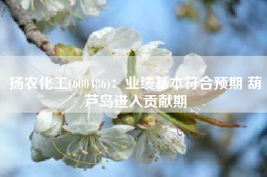 扬农化工(600486)：业绩基本符合预期 葫芦岛进入贡献期