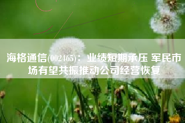 海格通信(002465)：业绩短期承压 军民市场有望共振推动公司经营恢复