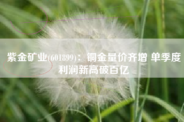 紫金矿业(601899)：铜金量价齐增 单季度利润新高破百亿