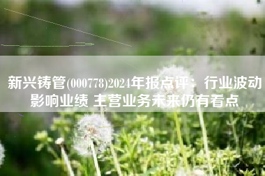 新兴铸管(000778)2024年报点评：行业波动影响业绩 主营业务未来仍有看点