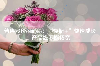 普冉股份(688766)：“存储+”快速成长 产品线不断拓宽