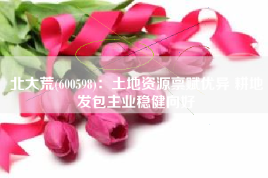 北大荒(600598)：土地资源禀赋优异 耕地发包主业稳健向好