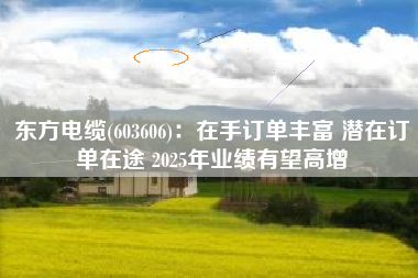 东方电缆(603606)：在手订单丰富 潜在订单在途 2025年业绩有望高增