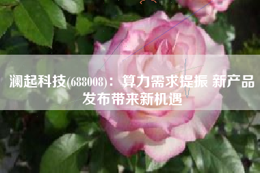 澜起科技(688008)：算力需求提振 新产品发布带来新机遇