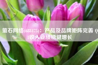 萤石网络(688475)：产品及品牌矩阵完善 Q1收入业绩稳健增长