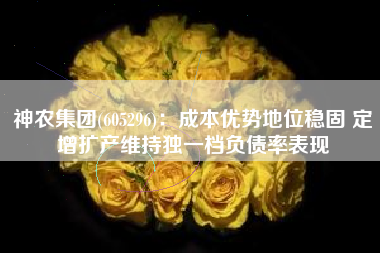 神农集团(605296)：成本优势地位稳固 定增扩产维持独一档负债率表现