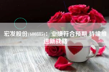 宏发股份(600885)：业绩符合预期 持续推进新战略