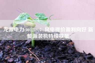 龙源电力(001289)：风电提价盈利向好 新能源装机持续放量