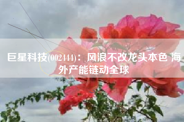 巨星科技(002444)：风浪不改龙头本色 海外产能链动全球
